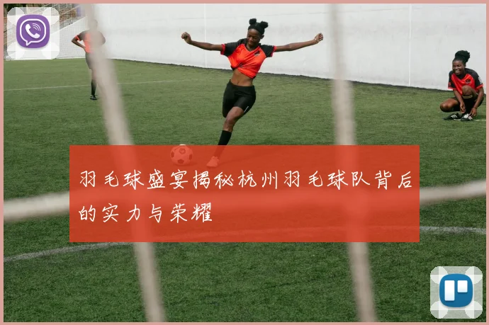 羽毛球盛宴揭秘杭州羽毛球队背后的实力与荣耀