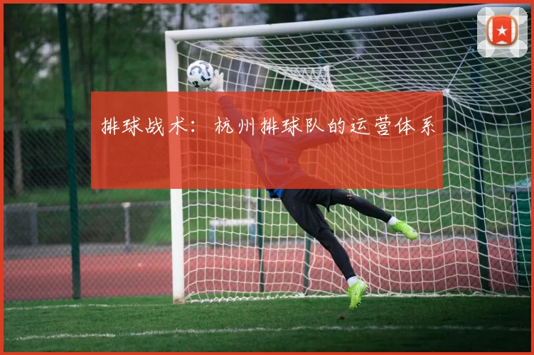 排球战术：杭州排球队的运营体系