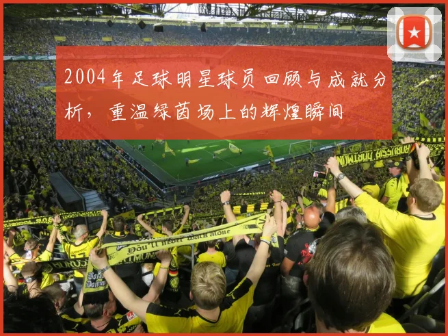 2004年足球明星球员回顾与成就分析，重温绿茵场上的辉煌瞬间