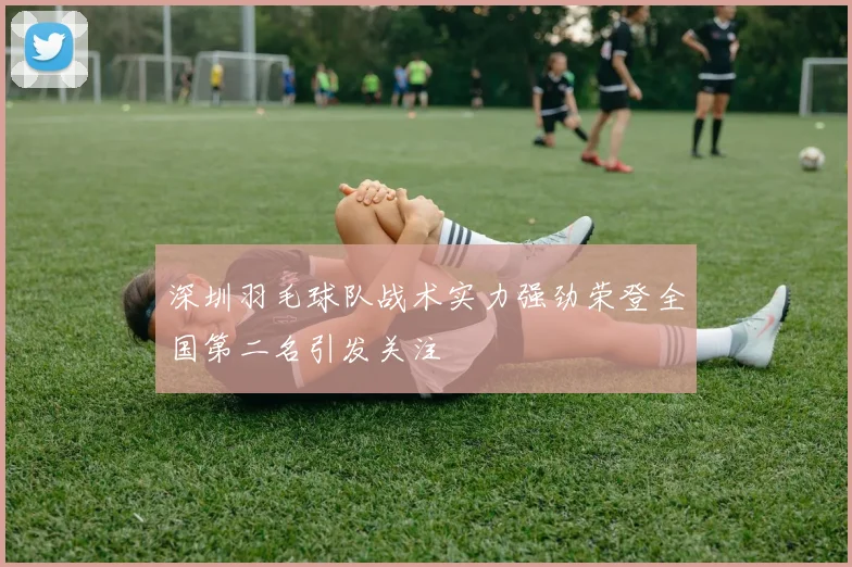 深圳羽毛球队战术实力强劲荣登全国第二名引发关注