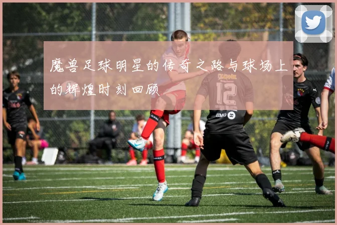 魔兽足球明星的传奇之路与球场上的辉煌时刻回顾