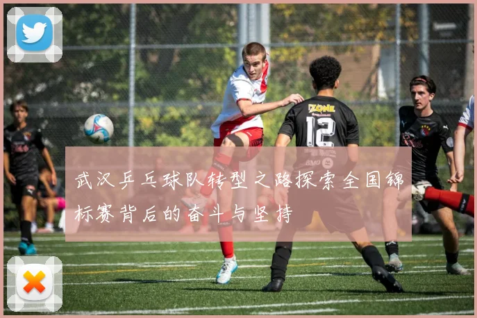 武汉乒乓球队转型之路探索全国锦标赛背后的奋斗与坚持