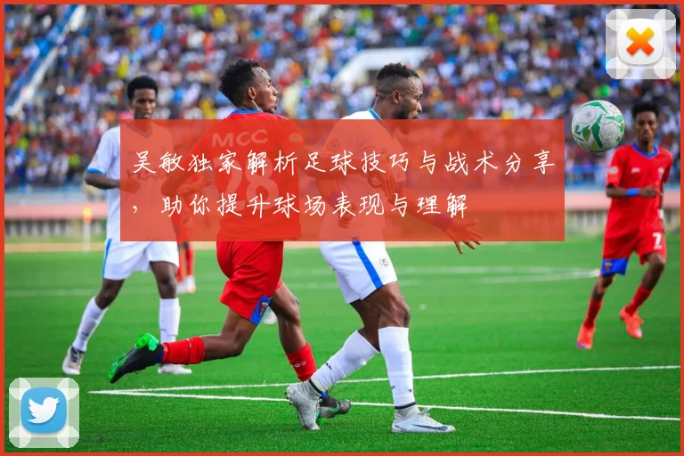 吴敏独家解析足球技巧与战术分享，助你提升球场表现与理解