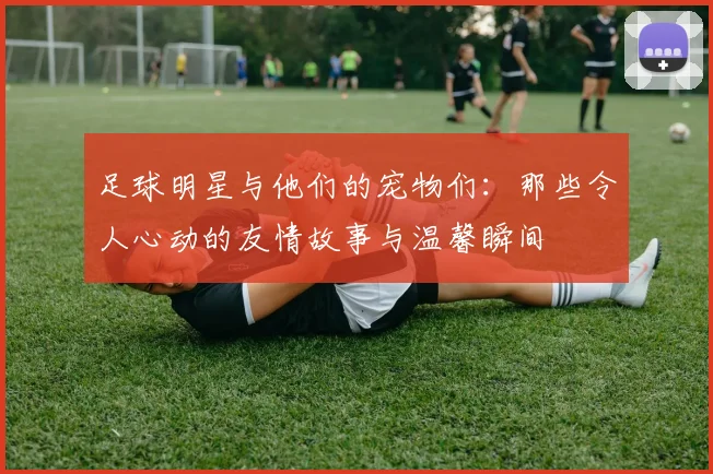 足球明星与他们的宠物们：那些令人心动的友情故事与温馨瞬间