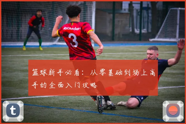 篮球新手必看：从零基础到场上高手的全面入门攻略