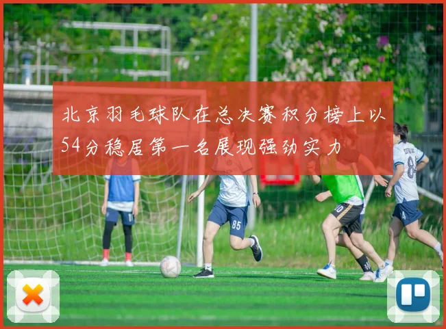 北京羽毛球队在总决赛积分榜上以54分稳居第一名展现强劲实力