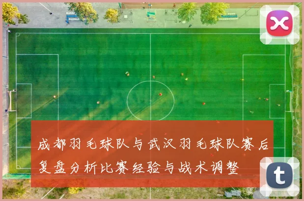 成都羽毛球队与武汉羽毛球队赛后复盘分析比赛经验与战术调整
