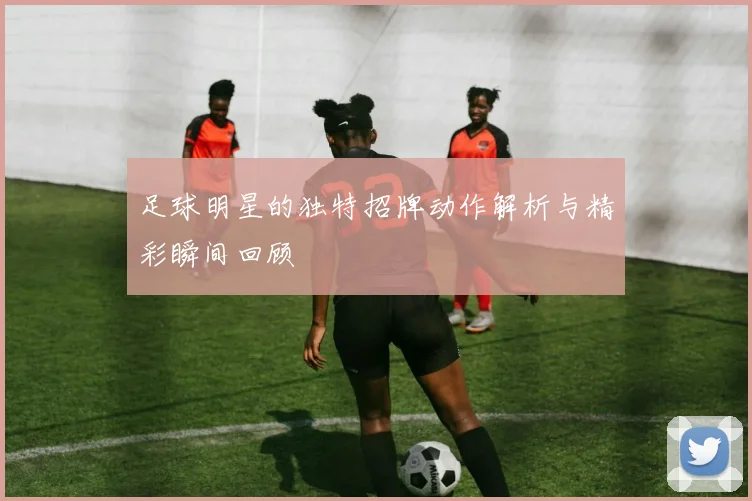 足球明星的独特招牌动作解析与精彩瞬间回顾