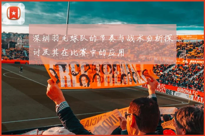 深圳羽毛球队的节奏与战术分析探讨及其在比赛中的应用