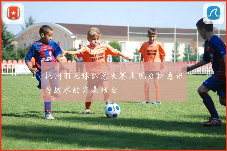 杭州羽毛球队总决赛表现分析意识与战术的完美结合