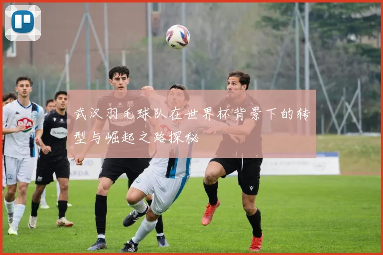 武汉羽毛球队在世界杯背景下的转型与崛起之路探秘