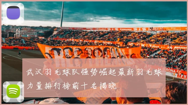 武汉羽毛球队强势崛起最新羽毛球力量排行榜前十名揭晓