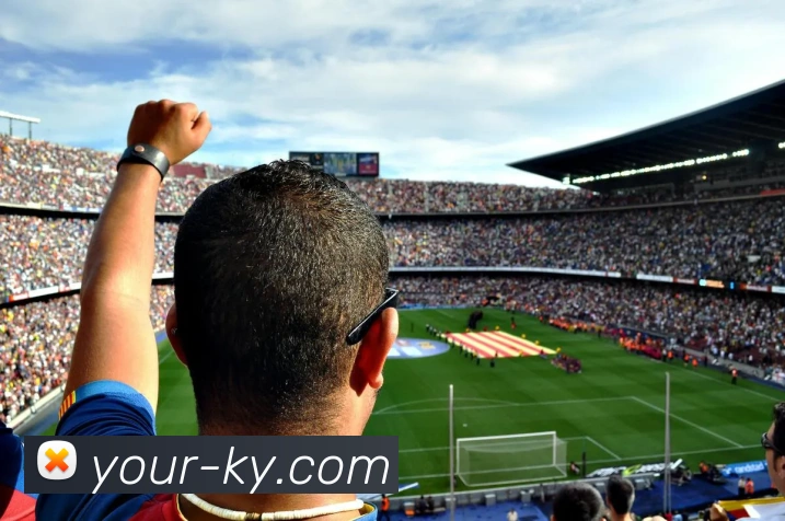 开云，kaiyun发展历程